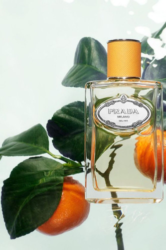 Infusion Mandarine Eau de Parfum (100ml).jpg