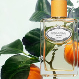 Infusion Mandarine Eau de Parfum (100ml)