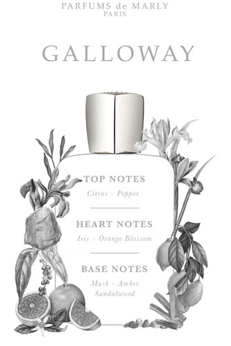 Parfums de Marly Galloway Eau de Parfum at Nordstrom, Size 2 5 Oz.jpg