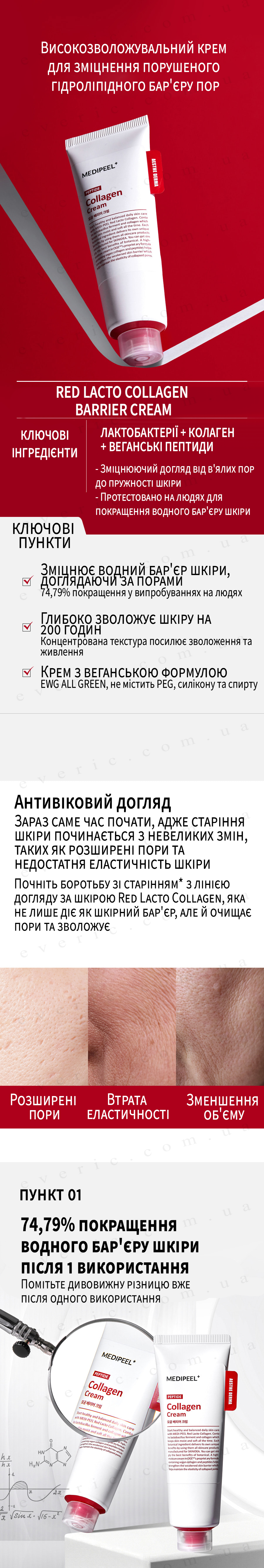 01 (1) копия