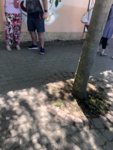 IMG 1421