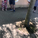 IMG 1421
