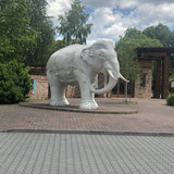 IMG 1433 (1)
