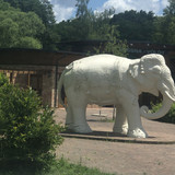 IMG 1436