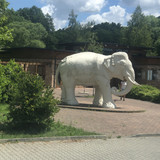 IMG 1437