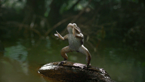 1000022648.gif