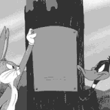 1000022647.gif