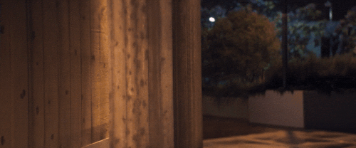 v1 214.gif