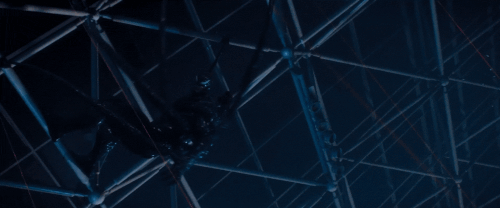 v1 251.gif
