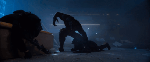 v1 253.gif