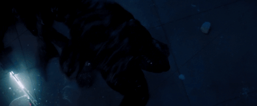 v1 252.gif