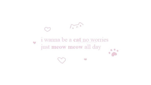 Banner 3