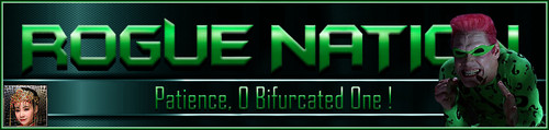 Riddler Banner.jpg