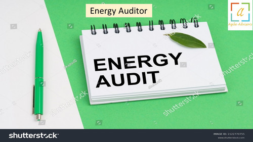 18.6.24 eauditor.jpg