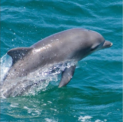 Fishing on South Padre.jpg