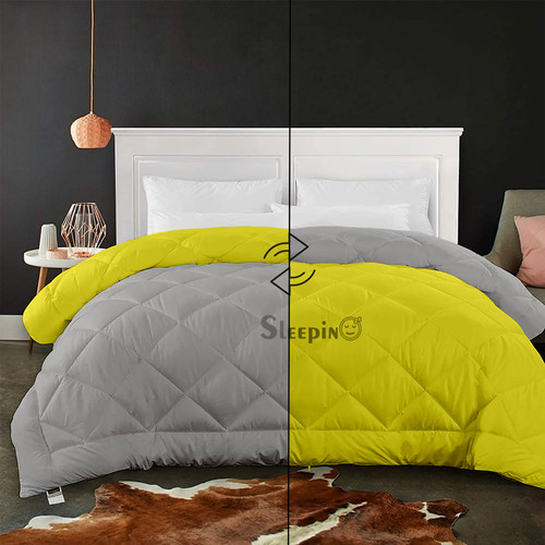 Silver Yellow (2).jpg