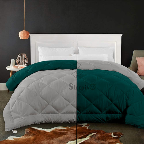 Silver Teal (2).jpg