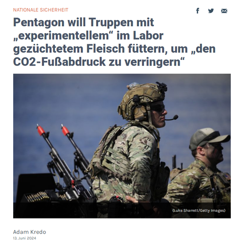 laborfleisch für truppen.png