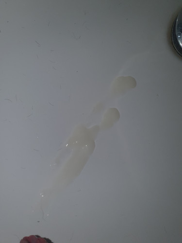 20240612 063749.jpg