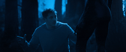 v1 308.gif