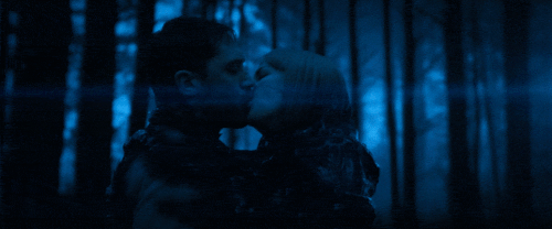 v1 311.gif