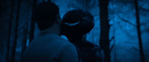 v1 310.gif