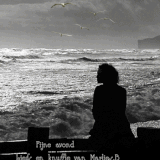 DIII.gif