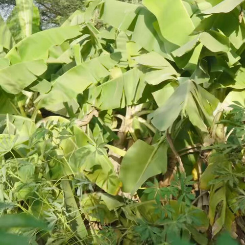 8PiWaq d7jJ2Mka6.jpg