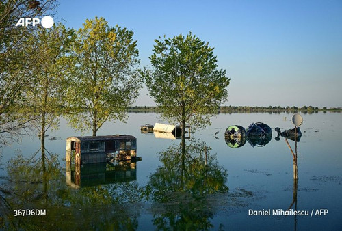 453729950 880454554116379 2981461286038156036 n.jpg?stp=dst jpg p180x540& nc cat=105&ccb=1 7& nc sid.jpg