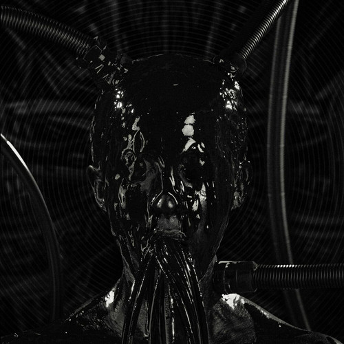 Gravemind Introsphere WEB 2024 ENTiTLED.jpg