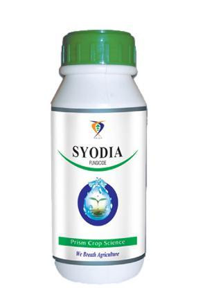 Syodia