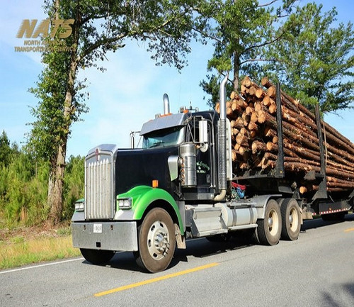 Reliable Flatbed Trucking Companies in Ontario NATS Canada.jpg