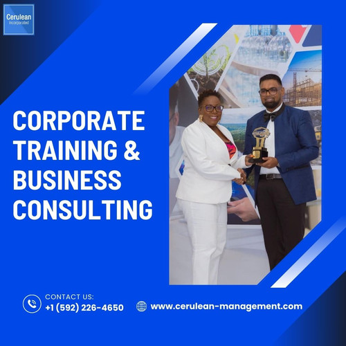 Corporate Training & Business Consulting.jpg