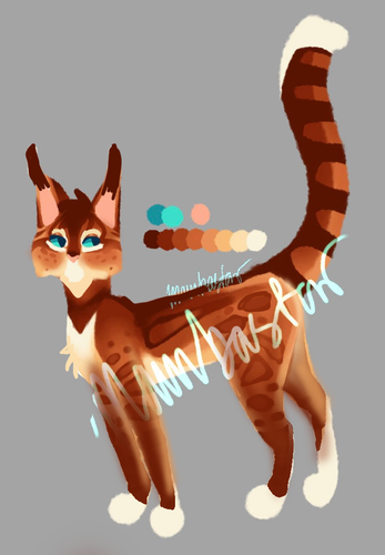 Untitled1 20240801022037.png