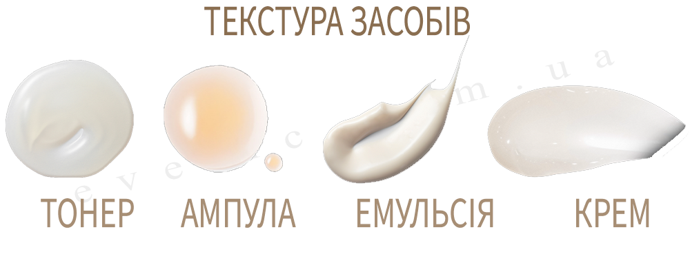 Без имени 1 копия