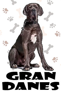 Gran Danes.jpg