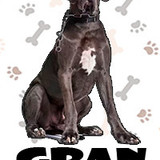 Gran Danes