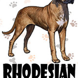 Rhodesian Ridgeback
