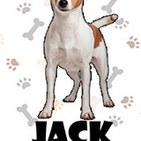 Jack Russell