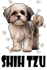 Shih Tzu.jpg