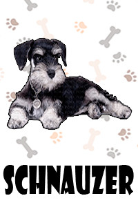 Schnauzer.jpg