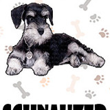 Schnauzer