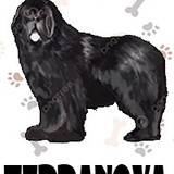 Terranova