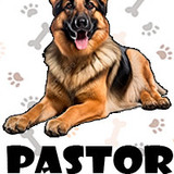 Pastor Aleman