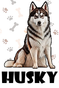 Husky.jpg