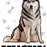 Husky