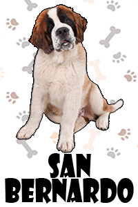 San Bernardo.jpg