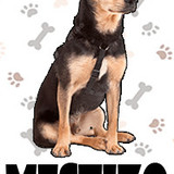 Mestizo