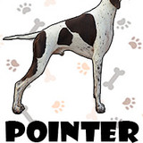 Pointer Ingles
