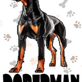 Doberman